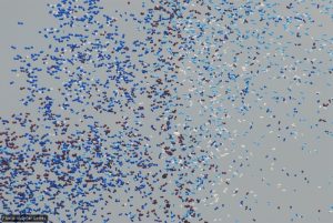 Balloons - you gotta have balloons