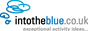 Into The Blue logo